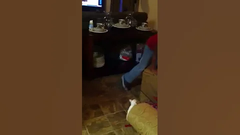 Sabrina's surprise