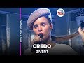 Zivert - Credo (LIVE @ Авторадио, презентация альбома Vinyl #1)