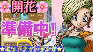 【ドラクエタクト】ビアンカは開花する事になります！どうやって使うかな〜✨わくわくしますね〜！！
