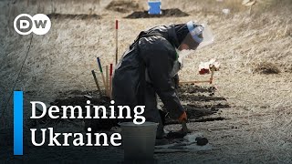 Russian mines make Ukrainian fields unfarmable | Focus on Europ