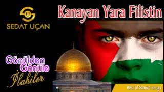 Sedat Uçan - Kanayan Yara Filistin | İnsanlik Ağliyor Şu Filistinde | ilahi