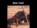 Wild Hunting | Pig Hunting | Hog Hunting | Animal Hunting Video | Boar Hunting | Deer Hunting