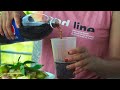 Shrimp Salad with Green Mango, Young Spondias Dulcis - Simple Everyday Life | Little Village Girl #1