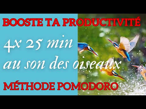 Musique chant doiseaux relaxants méthode Pomodoro : 4 X 25 minutes pour booster votre concentration