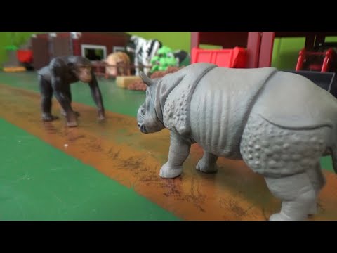 침팬지 vs 코뿔소 동물 대결 <strong>Chimpanzee</strong> vs Rhino Animal battle