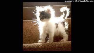 Free Funeral Wayza Kittyflower Zvereva Type Beat Prod. 9010 & Wayza