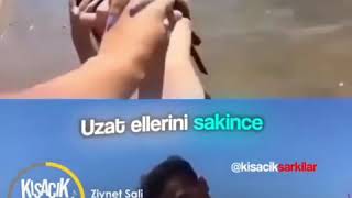 Zi̇ynet Sali̇ Kalbi̇m Tati̇lde