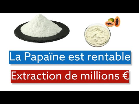 La papaïne, comment extraire des millions d&rsquo;euros ?