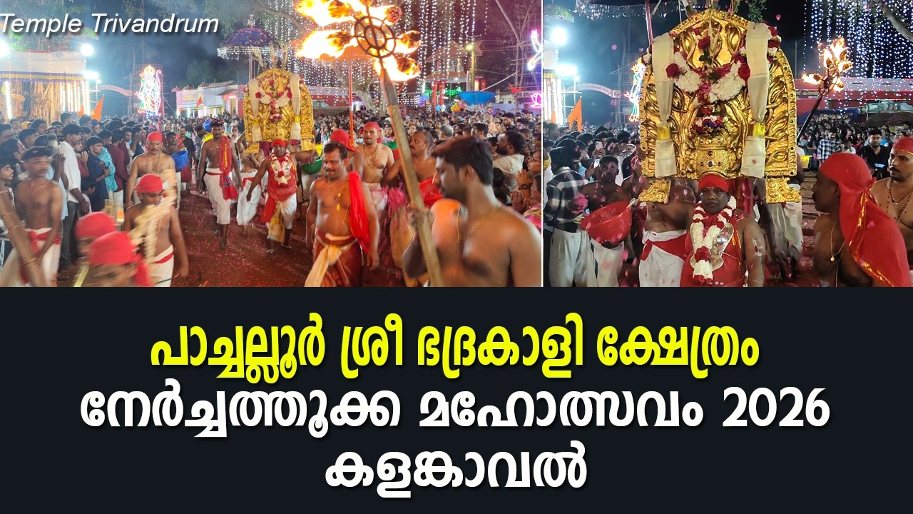പാച്ചല്ലൂർ ശ്രീ ഭദ്രകാളിക്ഷേത്രം നേർച്ചത്തൂക്ക മഹോത്സവം 2026 കളങ്കാവൽ