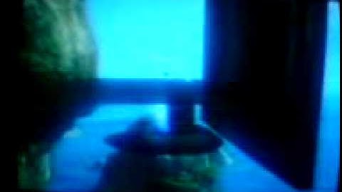 forge tips & tricks Ep-2: jump pad