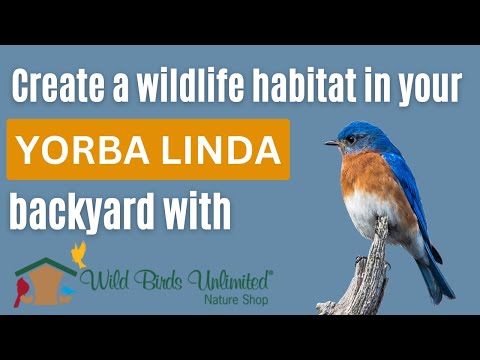 Wild Birds Unlimited