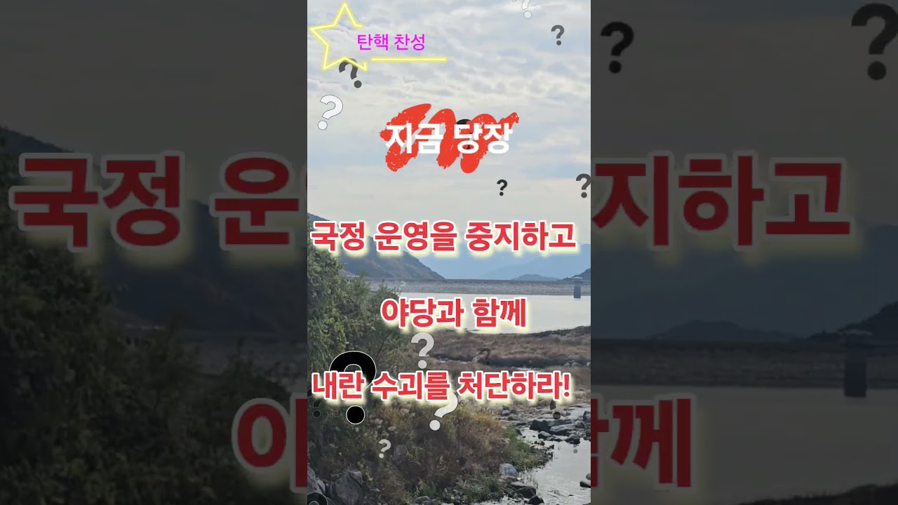 내란수괴를 조속히 탄핵하고 새로운 나라 건설! 국민혼란은 STOP!