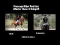 Dressage Rider Position: Master These 3 Things!!!