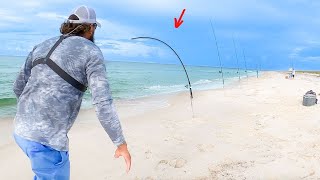 This Beach Was LOADED With Giant Fish! *New State Record?*