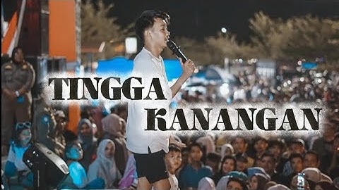 DJ ANDRO 87 - TINGGA KANANGAN - elsa pitaloka #djandro #djminangfullbass #djbreakbeatfullbass
