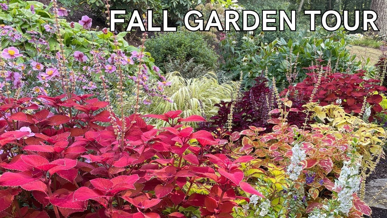 New England Fall Garden Tour - YouTube