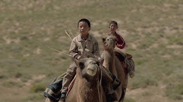 『僕たちの家に帰ろう』予告編