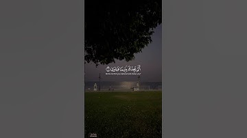 #سورة_الضحى | ألم يجدك يتيما فآوى ﴾ #المنشاوي #اقتباس#قرآن