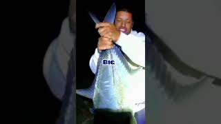 ulua fishing in hawaii Giant trevally #fishing #catch