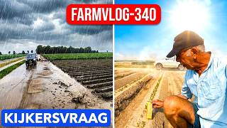 FARMVLOG #340 peen kapot ?? 4e stortbui, heetste dag
