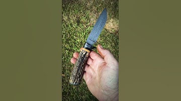Feather Damascus antler handled hunting knife