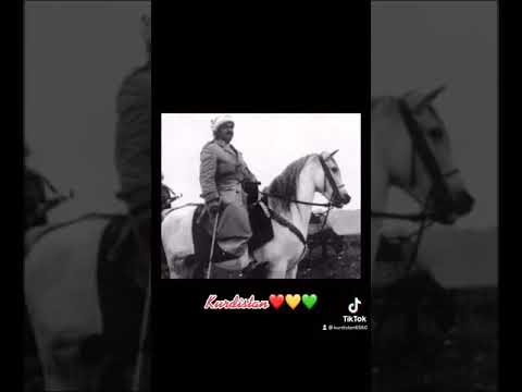 اجمل صور لملا مصطفى البارزاني