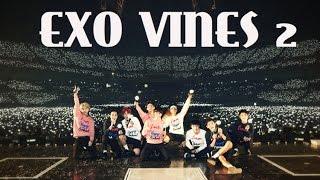 EXO VINES 2 [FAVORITE]