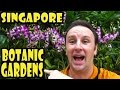 Singapore Botanic Gardens Travel Guide