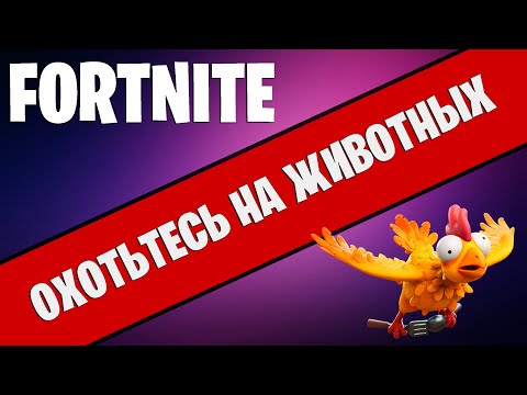 Video: Teraz Futbalový Klub Použil Fortnite Na Oznámenie Nového Podpisu