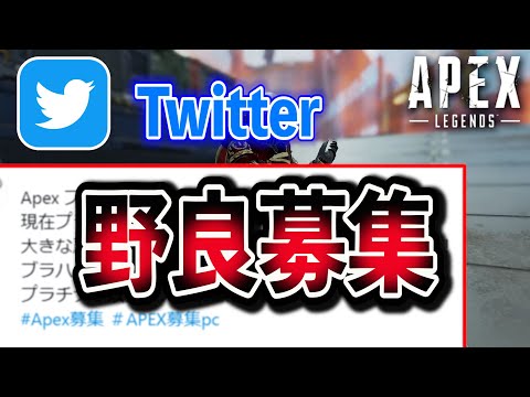 【APEX】Twitterの野良募集でポイントを盛るための必須条件を解説！【PC　PS4　Switch】