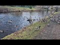 Sunday walk along the canal