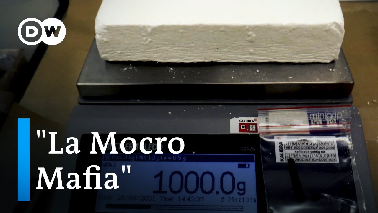 El poder de la mafia de la droga - La cocaína y los Países Bajos | DW Documental
