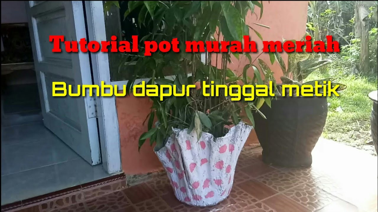 Kegiatan IRT review tanaman dihalaman Tutorial pot  