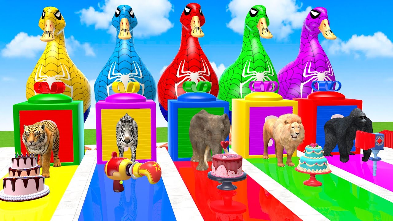 Long Slide Game With Elephant Tiger Zebra Lion Gorilla Hippo 3d Animal Cage Game Funny 3d Animals