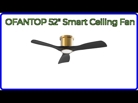 REVIEW (2025): OFANTOP