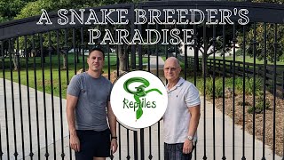 Converting One Ball Python Breeder at a Time