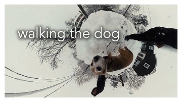 Walking the Dog GOPRO VR REFRAME