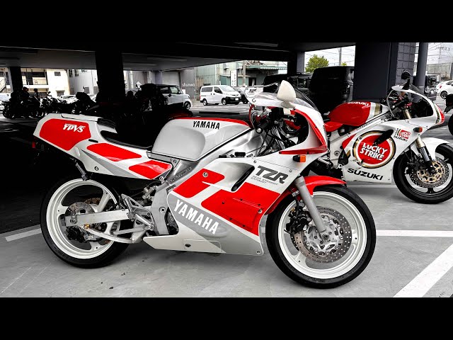 YAMAHA TZR(3MA)and SUZUKI RGV250Γ SP(VJ23A輸出仕様）参考動画