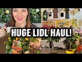 Lidl Haul | Lidl Grocery Haul | Lidl UK | Lidl | Plant Haul | Try on Haul | Kate McCabe | March 2021