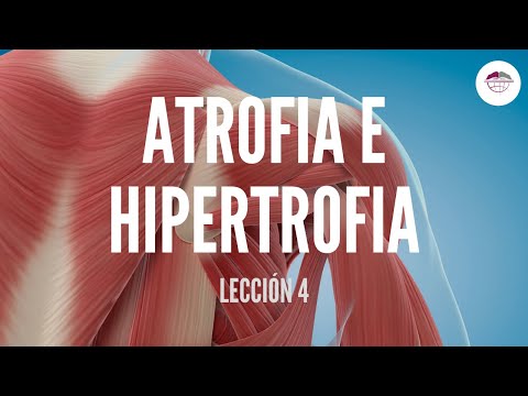 Vídeo: Hipertrofia Muscular: La Ciencia Y Los Pasos Para Desarrollar Músculo