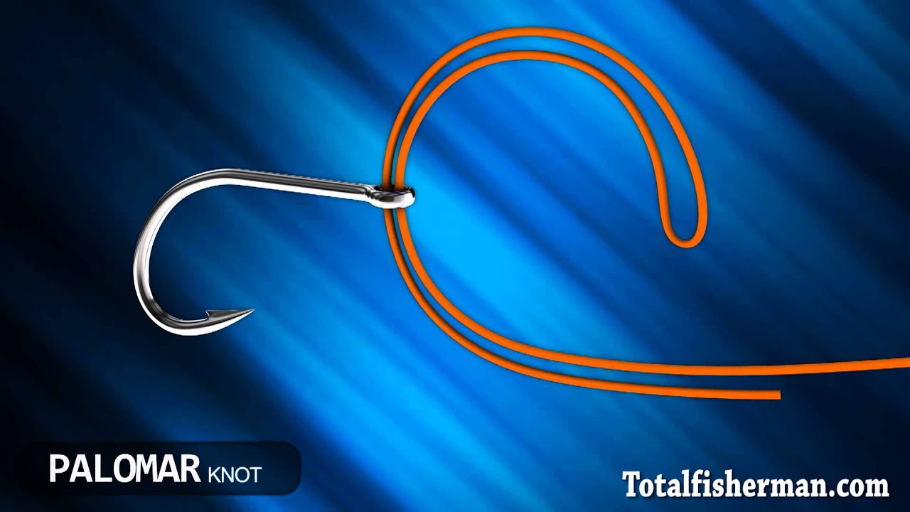 Best Fishing Knot 