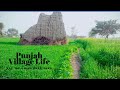 Punjab beautiful village life  rural life  pind di zindagi