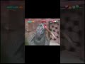 Takeshi's Castle Ep 09 Honeycomb Maze In Replay I Gus So