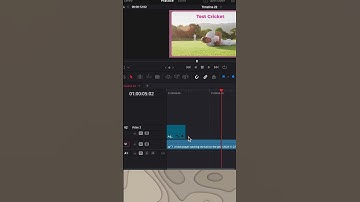 Bezier Curves on Open Fx For Smoother Animations  #davinciresolve19 #editingsecrets