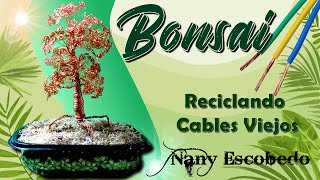 Bonsai Con Cables Reciclados