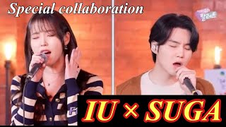 【IU × SUGA】Special Collaboration song by 'eight'