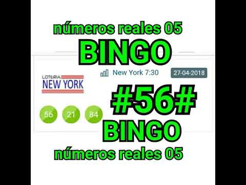 MÍRALO YAA..!! MÁS BINGO,#56# LOTERÍA NEW YORK NOCHE...! camera iphone 8 plus apk