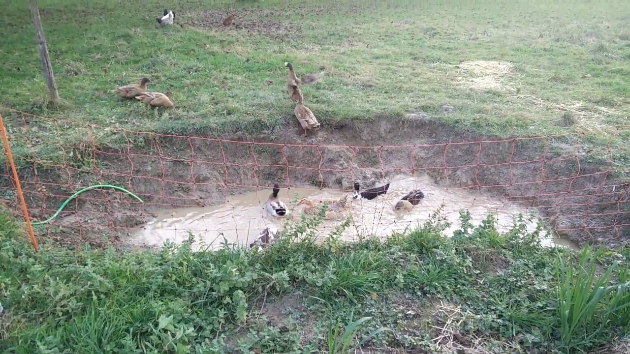mare-aux-canards-youtube