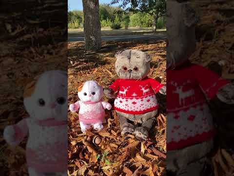 Мягкая игрушка кот басик в свитере с оленями и кошечка ли-ли baby в свитере