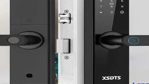 Tuya Wifi Electronic Smart Door Lock With Biometric Fingerprint / Smart Card / Password /